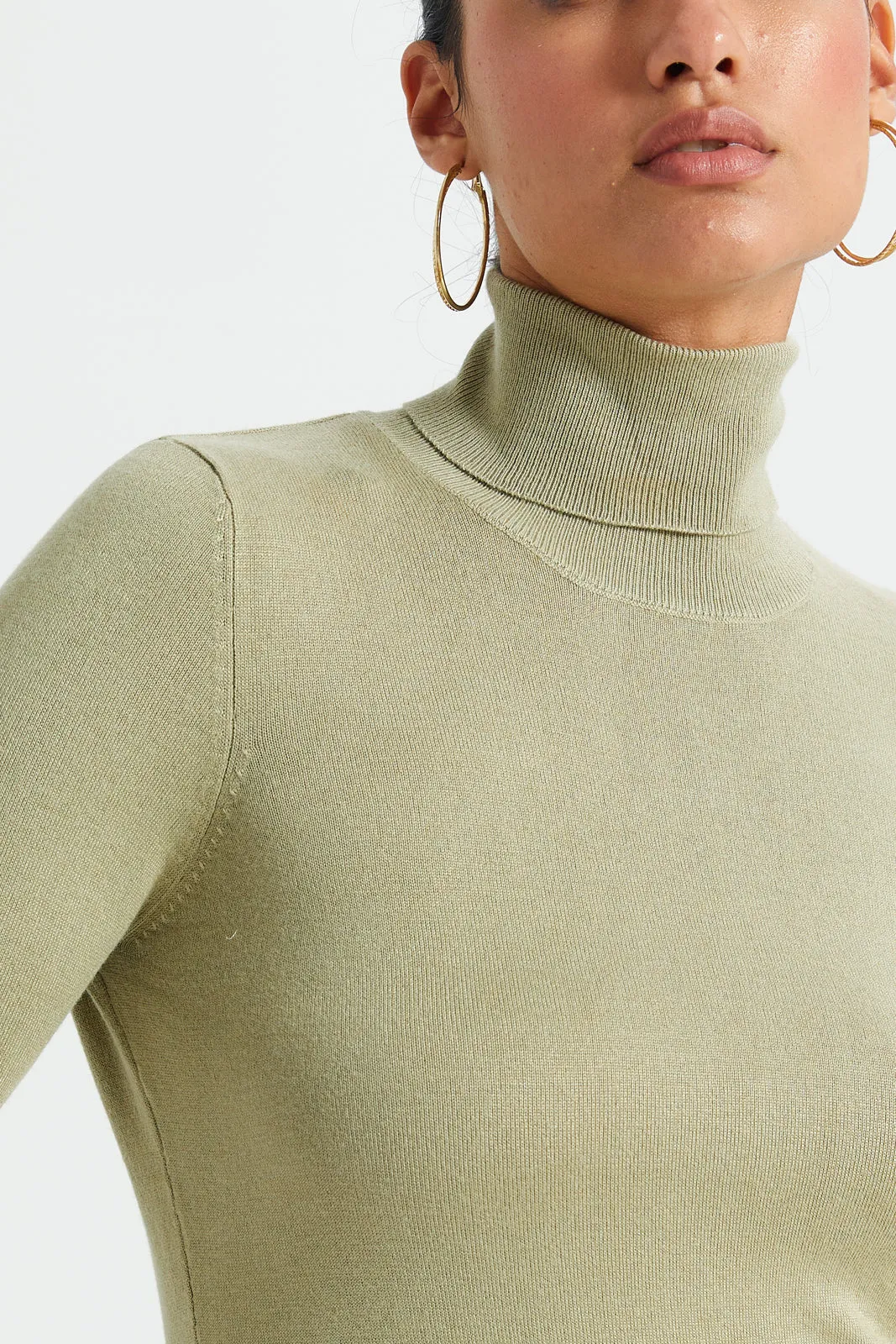 Women Mint Solid Turtle Neck Pullover